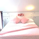 Alaia *