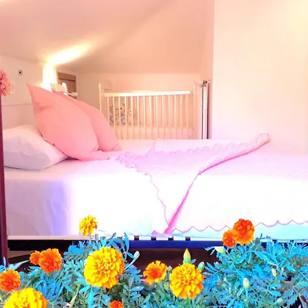 Alaia Homestay *